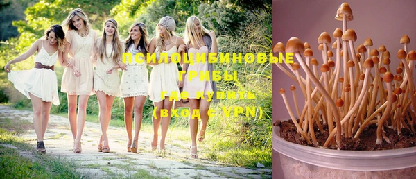 бошки Белокуриха