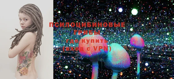 бошки Белокуриха