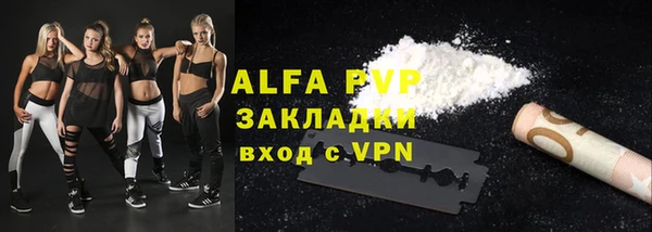 бошки Белокуриха