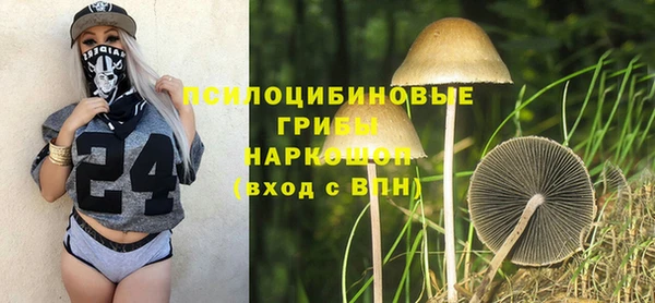 бошки Белокуриха