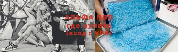 бошки Белокуриха