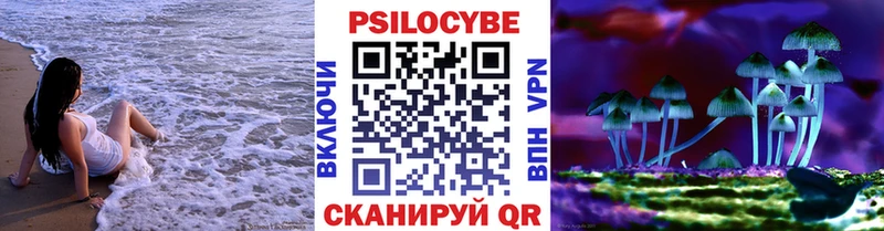 Галлюциногенные грибы Cubensis  Горно-Алтайск 