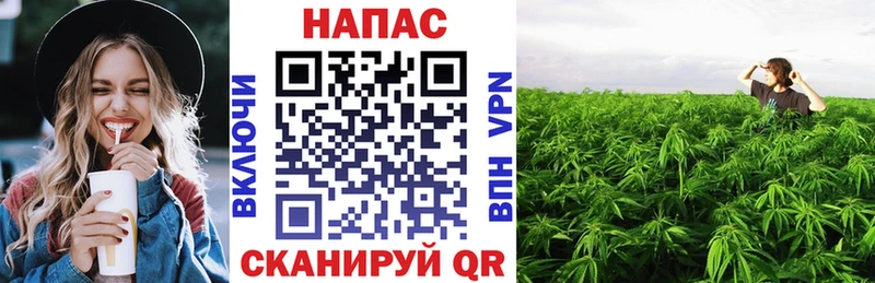 hydra как войти  Горно-Алтайск  Канабис OG Kush 
